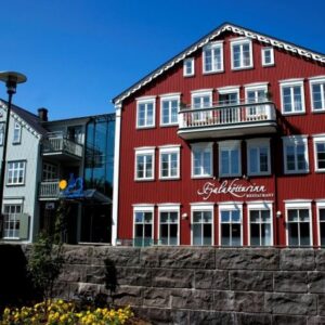 Hotel Reykjavik Centrum IJsland